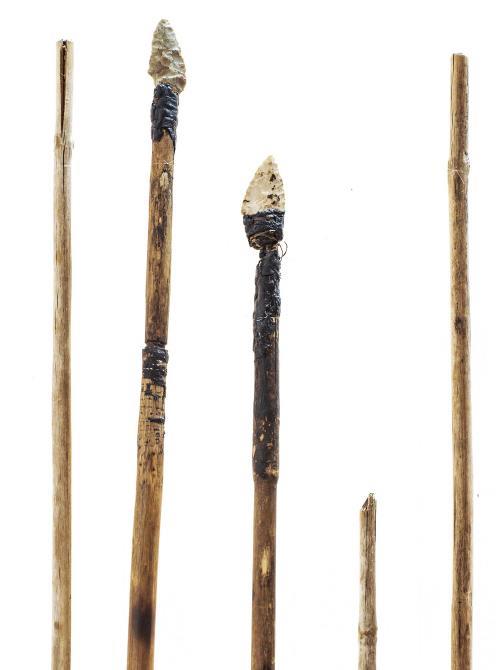 L’arco e le frecce di Ötzi // Ötzi’s bow and arrow